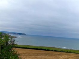 Morning view