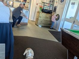 Fun for the kids