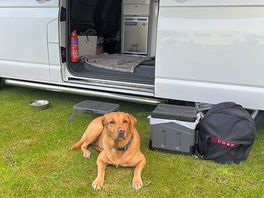 Lovely field opposite camp for a walk