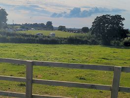 View from shop