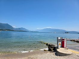 Morning view!