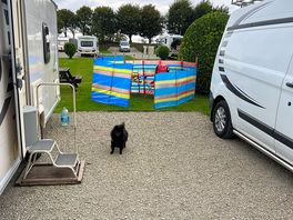 Poppy’s keeping an eye on me 😂👍.