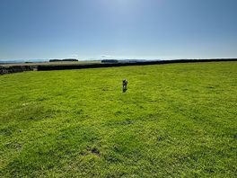 Huge field