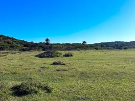 The camp field right by the ocean