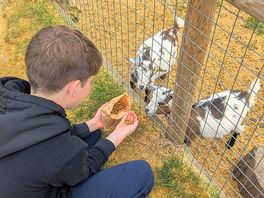 The highlight of our holidays was feeding the baby goats. they were adorable.