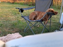 Relaxing with a good book enjoying the peace and quiet