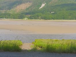 View at estuary