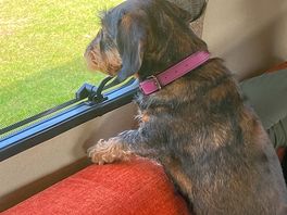 Enjoying the view from our caravan .