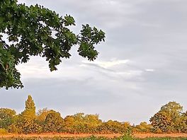 Fields