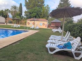 Plenty of deck chairs