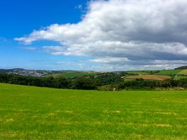 View from the pitches