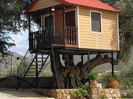 Could stay in there
