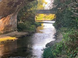 View of the river
