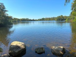 Lovely lake
