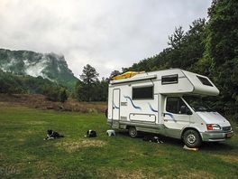 Dog-friendly site