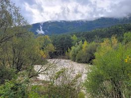 Views of river