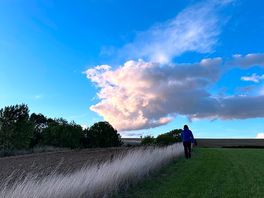 On the walk from the campsite