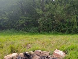 Beautiful oak woods nearby and on-site.