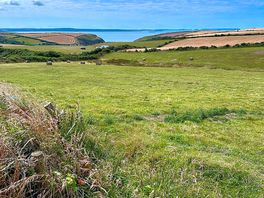 Looking towards st david's