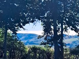 View from our van each morning