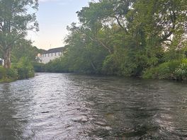 Lovely for a paddle