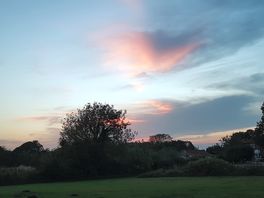 Evening view