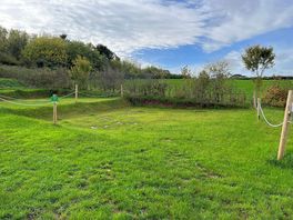 Non-electric grass tent, trailer tent or campervan pitch