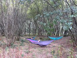 Hammocks!