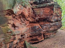 Frodsham hill woods