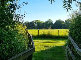 Route to the dog walk