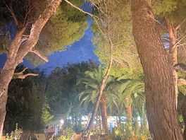 Evening from the bar patio