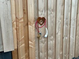 Dog shower