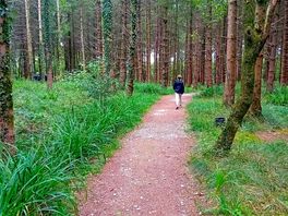 A great wander in the forest, so peaceful.