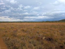 Cors caron nature reserve