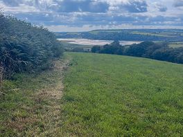 View, lots of space to walk