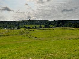 View from site