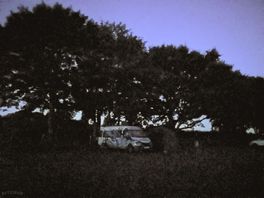 Foragers rest at about 4:30am