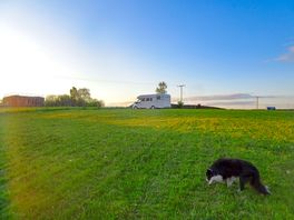 Flat and open site