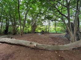 Site