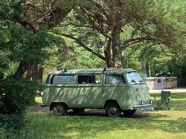 Our old vw camper amongst the trees in the main field