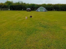 Huge field