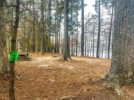 Location #2 in November