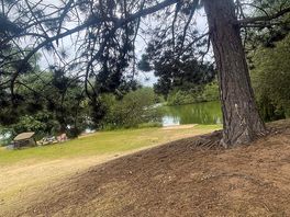 View from lake side looking towards restaurant area / musical festival