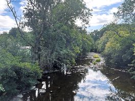 Local river