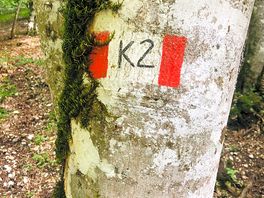 1 van de wandel routes