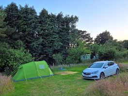 Gweek campsite