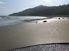Looking back to the site