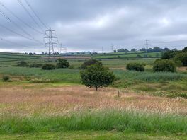 Lovely view plus pylons