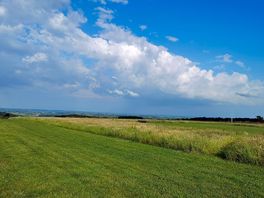 The view from the field.