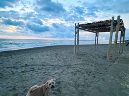 Beach at sunrise